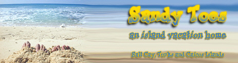 Island Vacation Rental Home